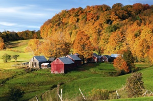 boerenschuren in de herfst | New England